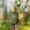 Deep Forest parfum 100ml