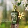 Deep Forest Parfum 100ml